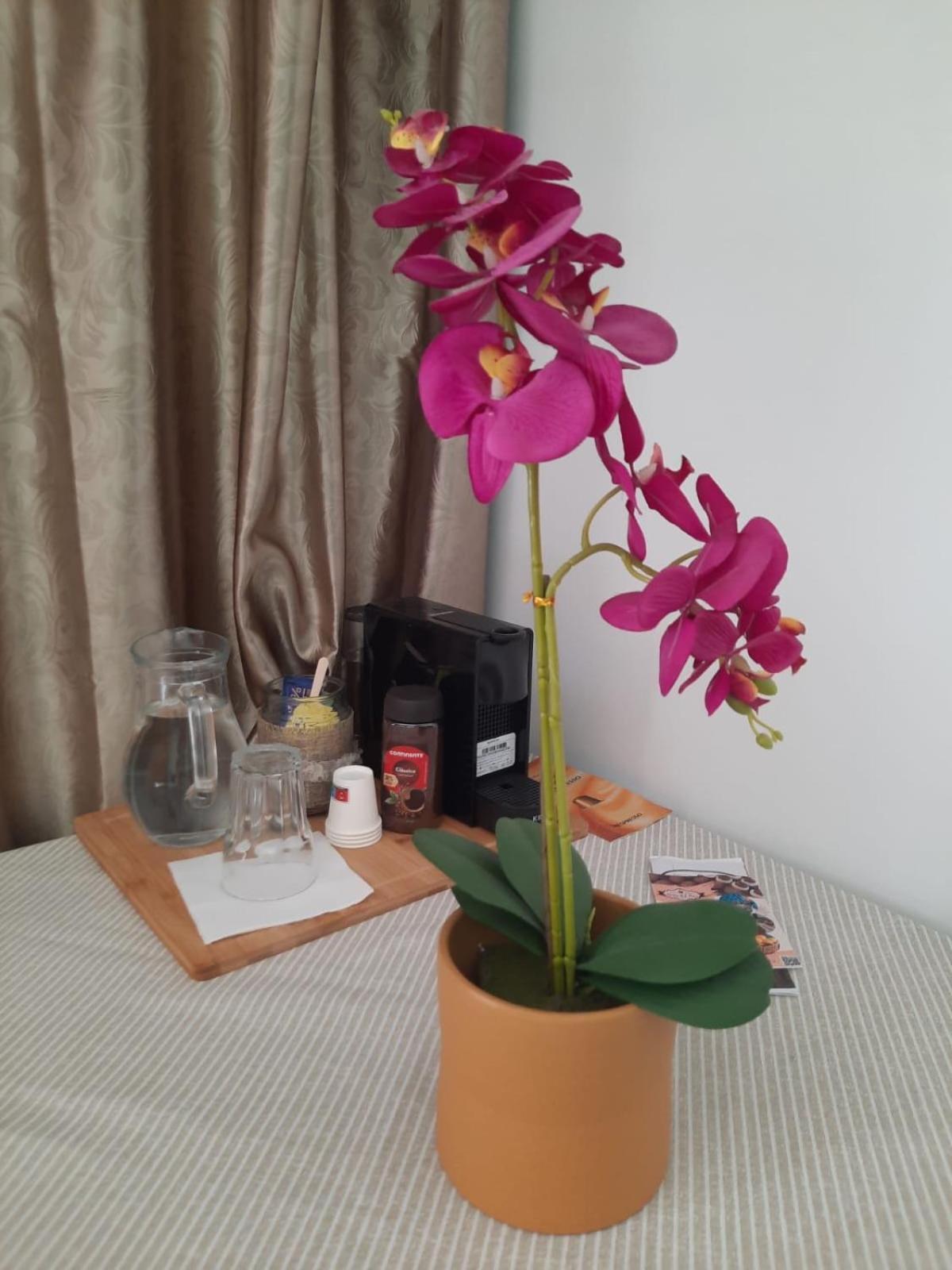 Pedacinho Do Ceu Apartment Ponta Delgada  Luaran gambar